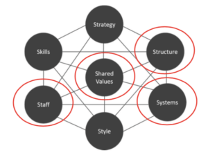 7-S model McKinsey