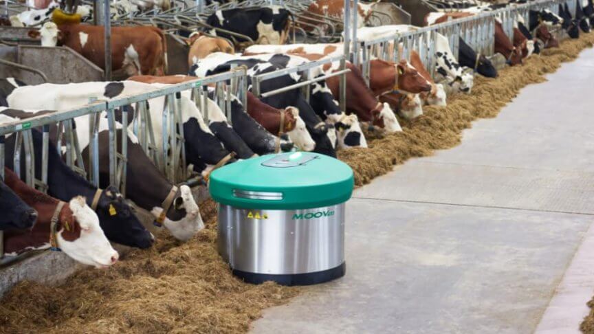 Afbeelding bij referentieverhaal 'Procesoptimalisatie en productontwikkeling JOZ stalrobot'