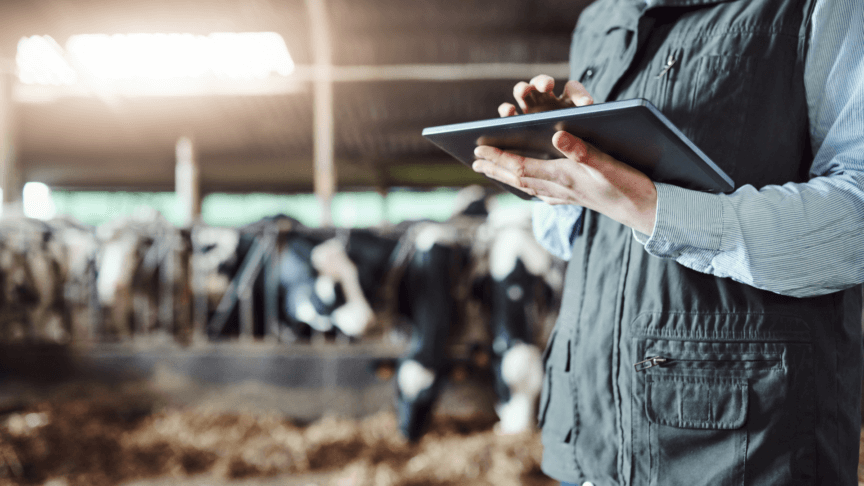 Afbeelding bij referentie Dier en data, data engineering binnen de veehouderij